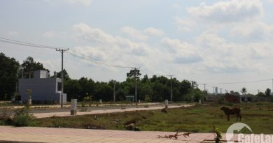 Sự sốt lại của thị trường bất động sản, đất nền tại Biên Hòa